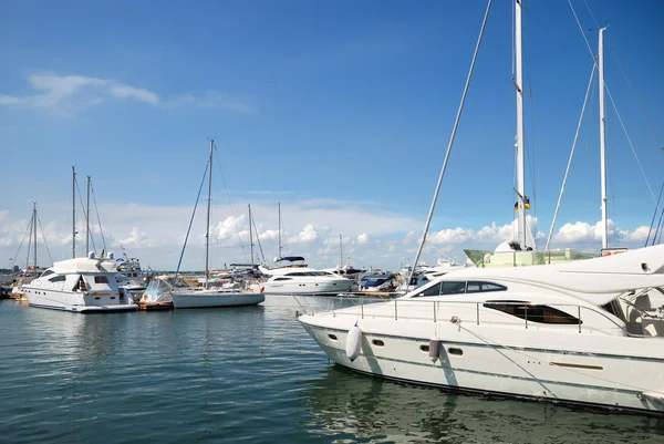 White yachts on an anchor — Stock Photo, Image