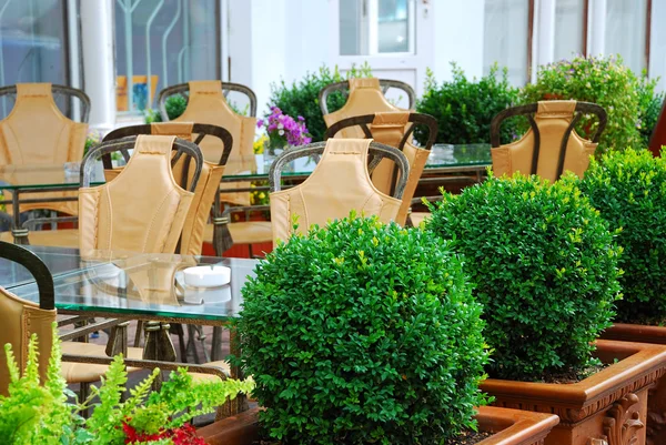 Café al aire libre de verano — Foto de Stock