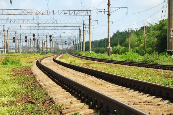 Summer railroad — Stock Photo, Image