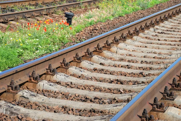 Summer railroad — Stock Photo, Image
