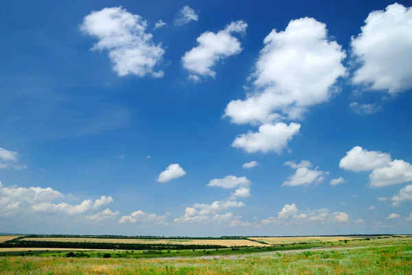 Summer landscape with the beautiful sky — Stock Photo, Image