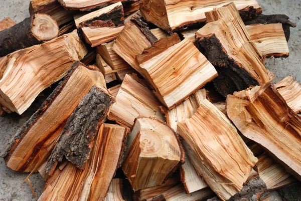 Dump of the fire wood — Stock Photo, Image