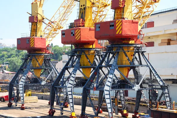 De handel zeehaven met kranen — Stockfoto