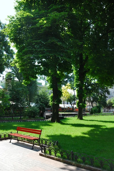 Summer day in city park — Stock Photo, Image