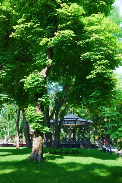 Yaz günü Şehir Parkı — Stok fotoğraf