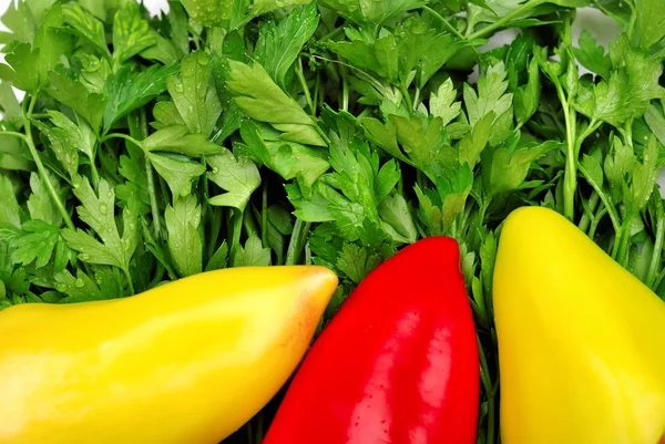 Background from parsley and peppers with drops — Stock Photo, Image