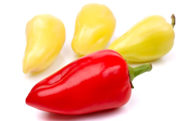 Die Paprika auf einem weißen — Stockfoto