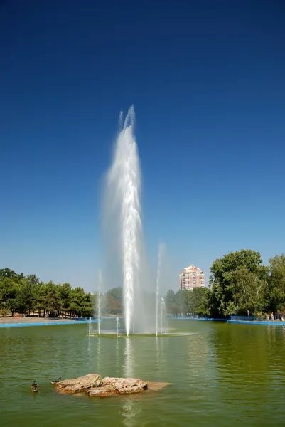 Stadtpark mit hohem Springbrunnen — Stockfoto