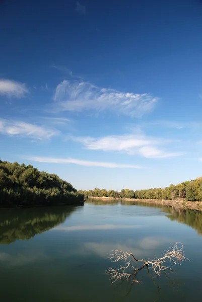 Landschap met bomen tegen de hemel — Stockfoto