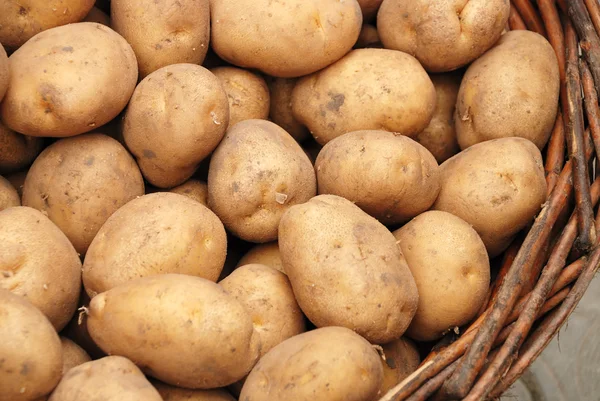 Potato crop in a basket — Stock Photo, Image