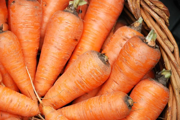 Zanahorias en una cesta — Foto de Stock