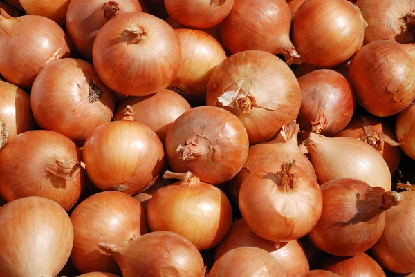 Background from a crop onion — Stockfoto