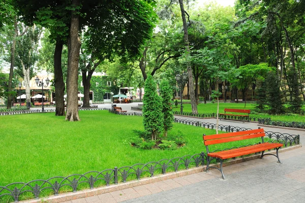 Yaz günü Şehir Parkı — Stok fotoğraf