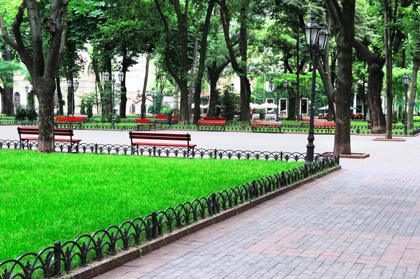 Día de verano en el parque urbano — Foto de Stock