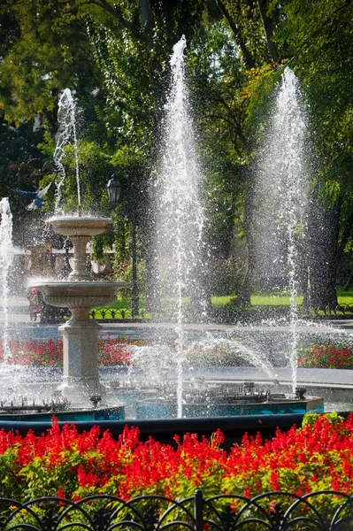 Fontana e fiori rossi — Foto Stock