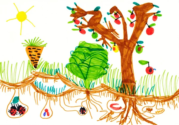 Child's drawing on paper. kitchen garden — Stock Photo, Image