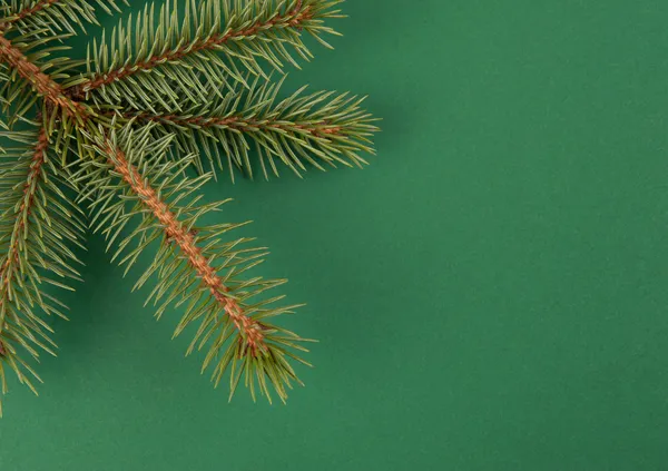 Albero di Natale con spazio verde — Foto Stock