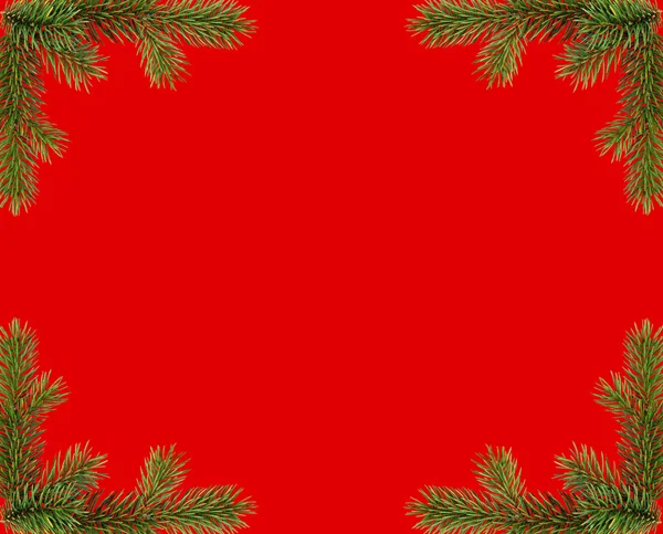 Red christmas frame from fir branches — Stock Photo, Image