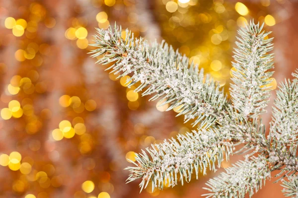 Ветка елки со снегом на золотом фоне боке — стоковое фото