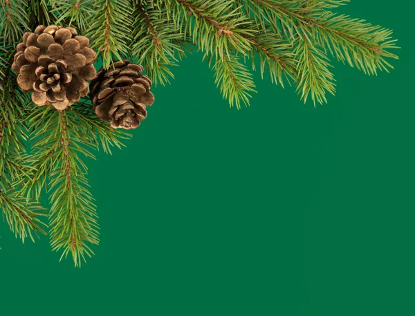 Christmas tree decoration on green — Stock Photo, Image