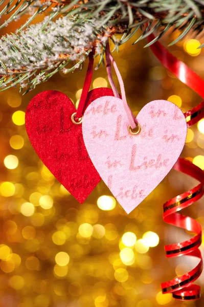 Two hearts on christmas fir tree branch — Stock Photo, Image