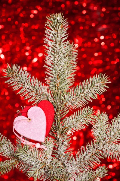 Two hearts on christmas fir tree branch — Stock Photo, Image