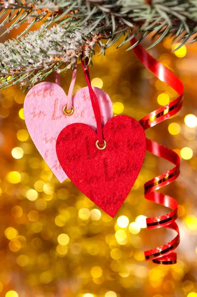 Two hearts on christmas fir tree branch — Stock Photo, Image