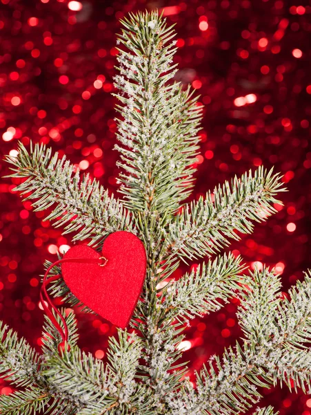 Hjärtat på jul Gran trädgren — Stockfoto