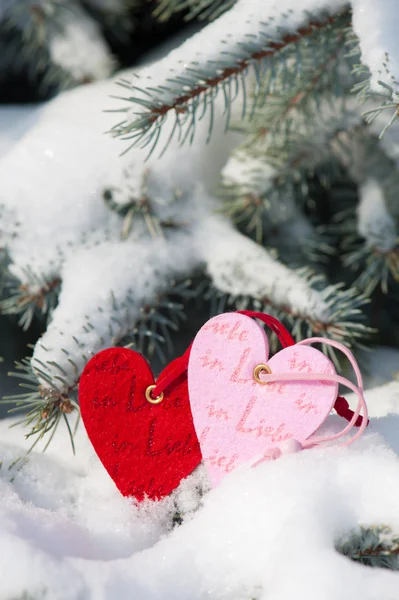 Two heart at snow on tree — Stock Photo, Image