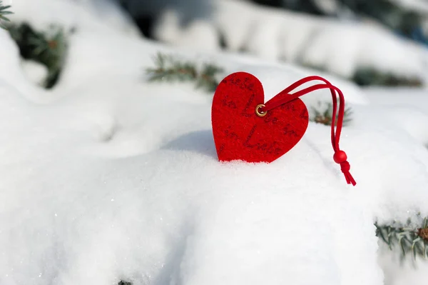 Heart at snow on tree — Stock Photo, Image