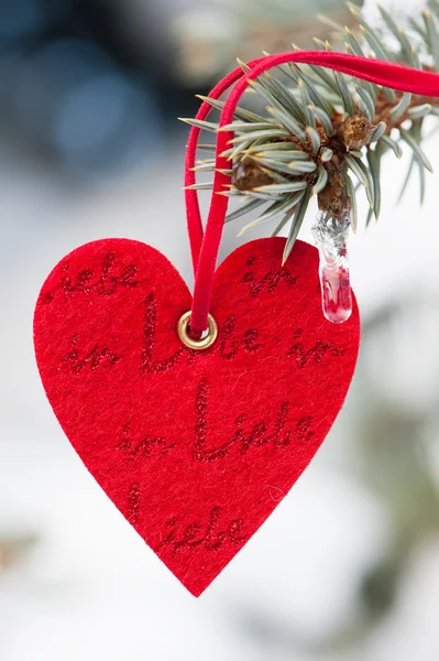 Corazón en la nieve en el árbol — Foto de Stock