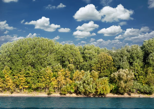 Landschaft mit Fluss und Wald — Stockfoto