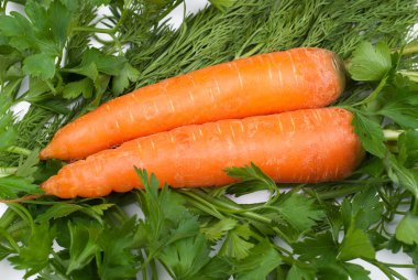 havuç yeşillik üzerinde