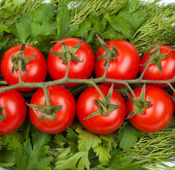 Los tomates cereza sobre la verdura —  Fotos de Stock