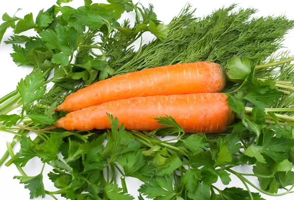 Carrots on greens — Stock Photo, Image