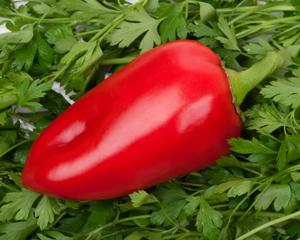 Red pepper and parsley — Stock Photo, Image