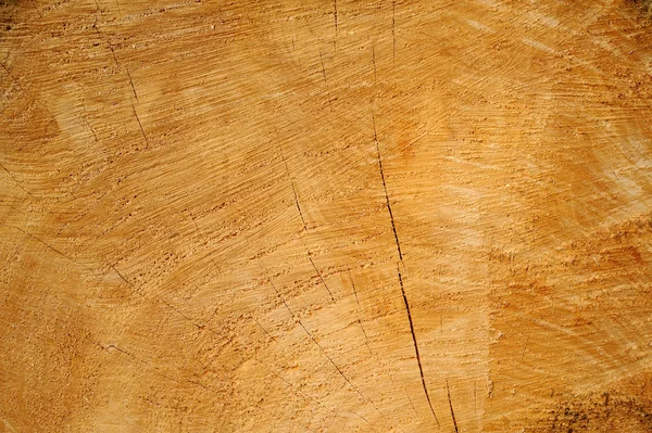 Textura de madera aserrada . —  Fotos de Stock