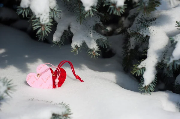 Two heart at snow on fir tree — Stock Photo, Image