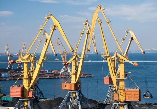 Sea port and cranes — Stock Photo, Image