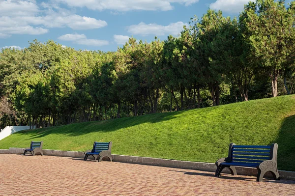 Sommardag i stadsparken — Stockfoto