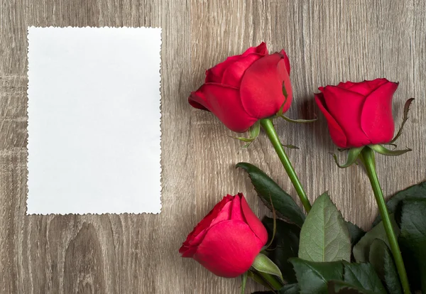 Tres rosas rojas y hoja en blanco sobre madera —  Fotos de Stock