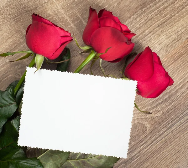 Três rosas vermelhas e folha em branco na madeira — Fotografia de Stock