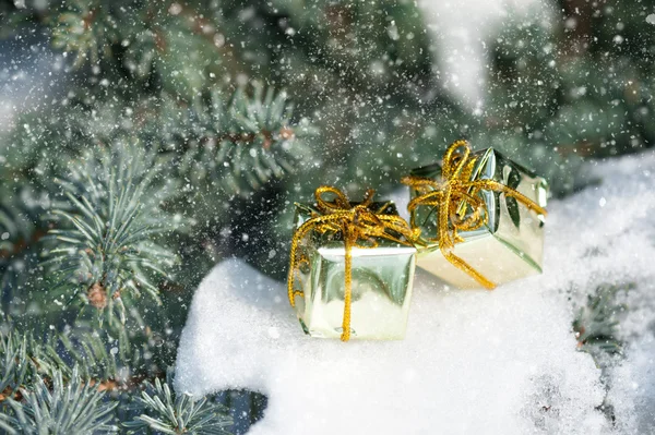 Geschenkdozen op winter boom met sneeuwval — Stockfoto