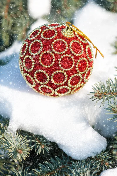 Červená vánoční koule na zimní strom s sněžení — Stock fotografie