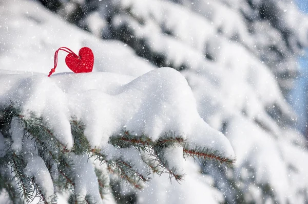 Rotes Herzspielzeug im Schneefall auf Tanne — Stockfoto