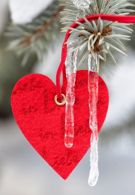 Kırmızı kalp oyuncak ile kar köknar ağacı üzerinde