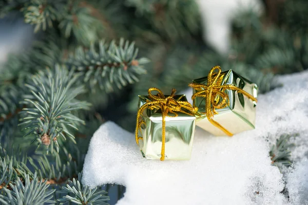 Geschenkdozen op winter boom met sneeuw — Stockfoto