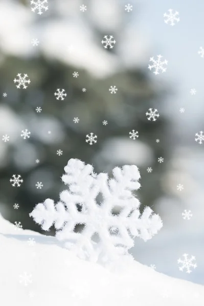 Stor snöflinga i snö — Stockfoto