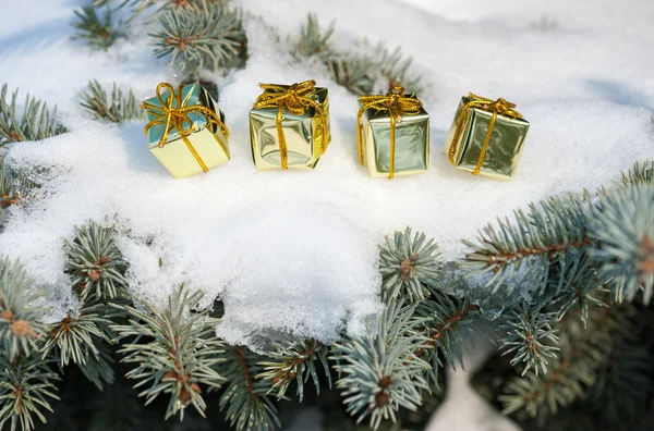 Scatole regalo su albero invernale con neve — Foto Stock