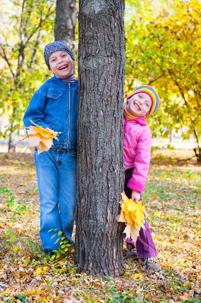 Enfants dans le parc d'automne — Photo